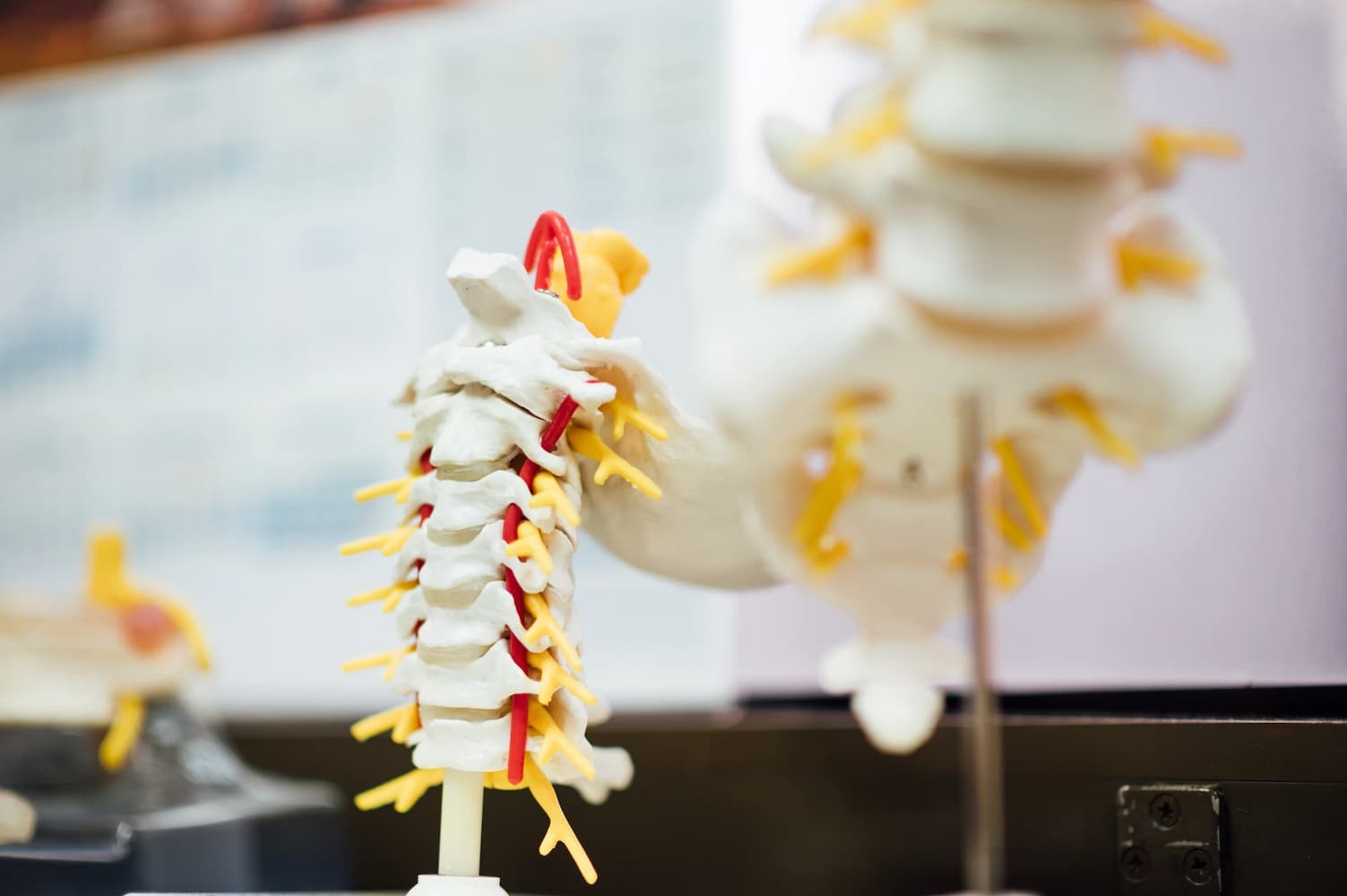 What is Network Spinal Analysis?
