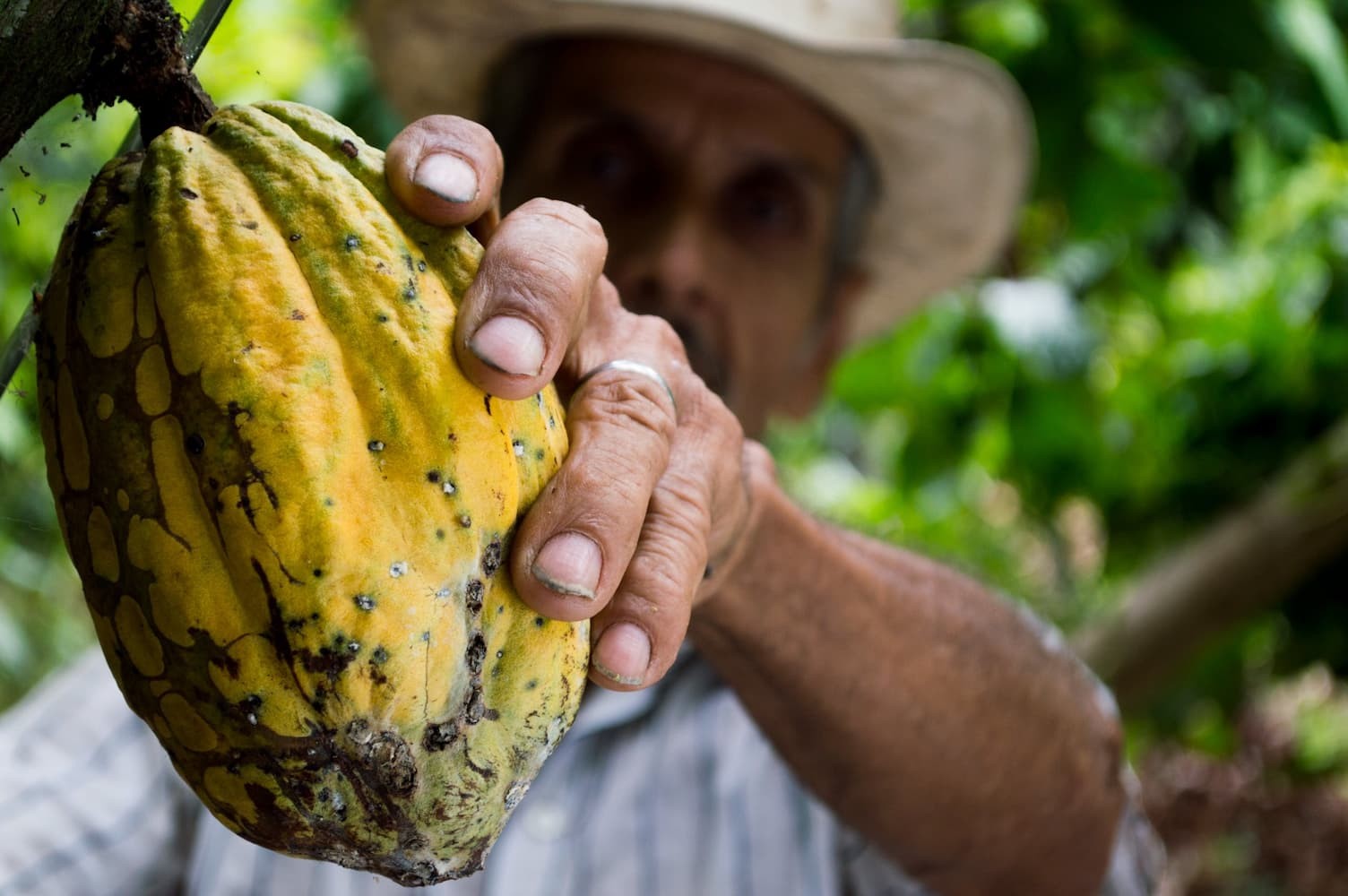 Activating and Relaxing Using Ceremonial Cacao