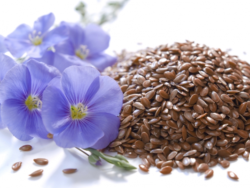 What's the difference between Linseed & Flax