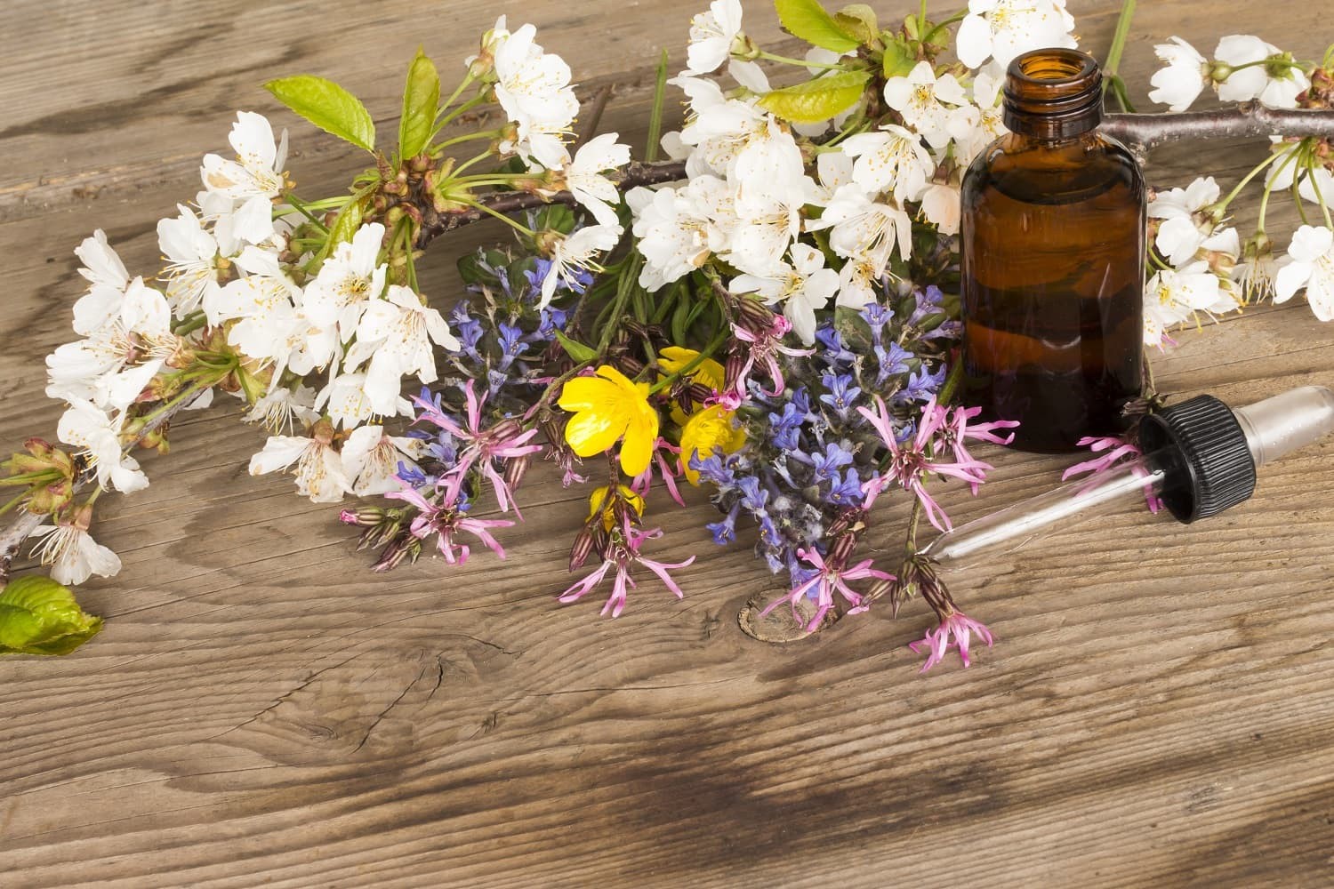 Flower essences in Melbourne