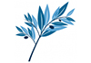 Pallavi Nagpal APD therapist on Natural Therapy Pages