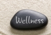 New Day Wellness therapist on Natural Therapy Pages