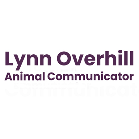 Lynn Overhill therapist on Natural Therapy Pages