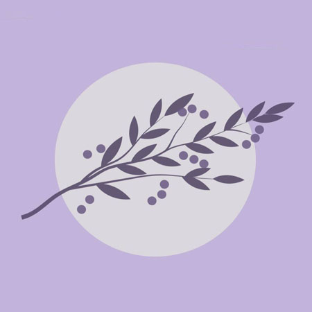 Pause and Smell the Lavender therapist on Natural Therapy Pages