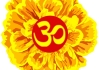 Suite Marigold therapist on Natural Therapy Pages