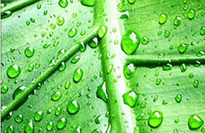 Dr Senani Wijesena therapist on Natural Therapy Pages