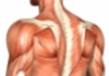 Enmore Centre for Spine & Musculoskeletal Health therapist on Natural Therapy Pages