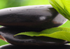Dawn Cargill therapist on Natural Therapy Pages