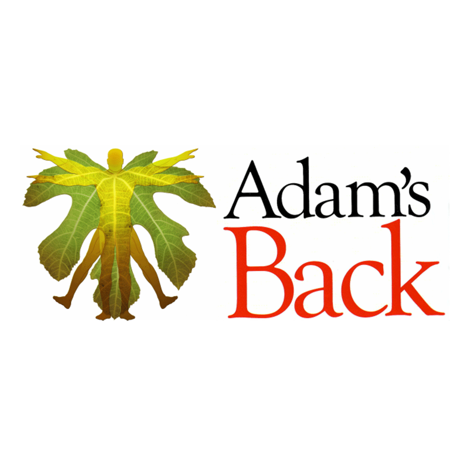 Dr Adam Mackey (Chiropractor), therapist on Natural Therapy Pages