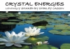 Shirley Cassin therapist on Natural Therapy Pages