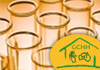 Gold Coast Holistic Health therapist on Natural Therapy Pages