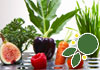 Perth Naturopathic & Herbal Clinic therapist on Natural Therapy Pages