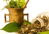 Thyme For Health therapist on Natural Therapy Pages