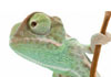 ' . $thumbnail_alt_text . '