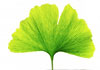 Awareness Institute therapist on Natural Therapy Pages