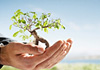 Nicki Thomson therapist on Natural Therapy Pages