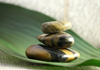 The Nature of Balance therapist on Natural Therapy Pages