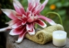 Donna Lavell therapist on Natural Therapy Pages