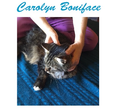 Carolyn Boniface therapist on Natural Therapy Pages