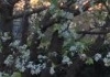 Holistic Healings ~ Kinesiology Teresa Whitehead therapist on Natural Therapy Pages