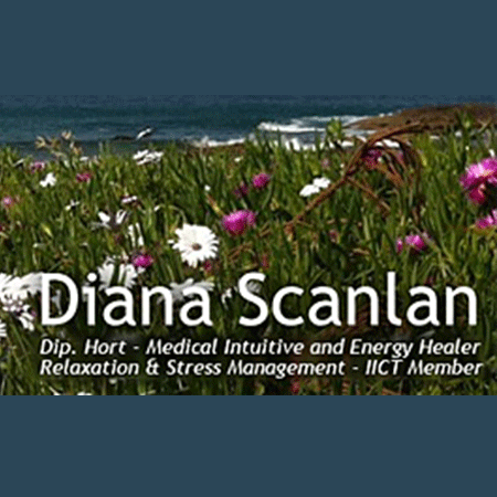 Diana Scanlan therapist on Natural Therapy Pages