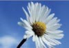 Gerhard Kempe therapist on Natural Therapy Pages