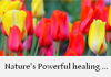 Julie Clark therapist on Natural Therapy Pages