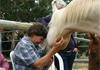Peakgrove Equine Assisted Learning therapist on Natural Therapy Pages