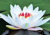 Jqrphysiotherapy therapist on Natural Therapy Pages