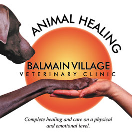 Balmain Village Veterinary Clinic therapist on Natural Therapy Pages