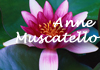 Anne Muscatello therapist on Natural Therapy Pages