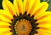 Winter Borg, MA, Psychology, R therapist on Natural Therapy Pages