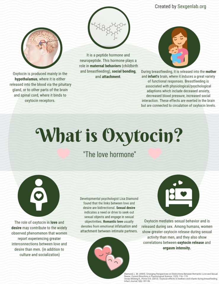 What is oxytocin?