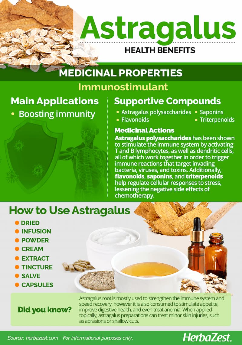 Benefits and Uses of the Chinese herb Astragalus