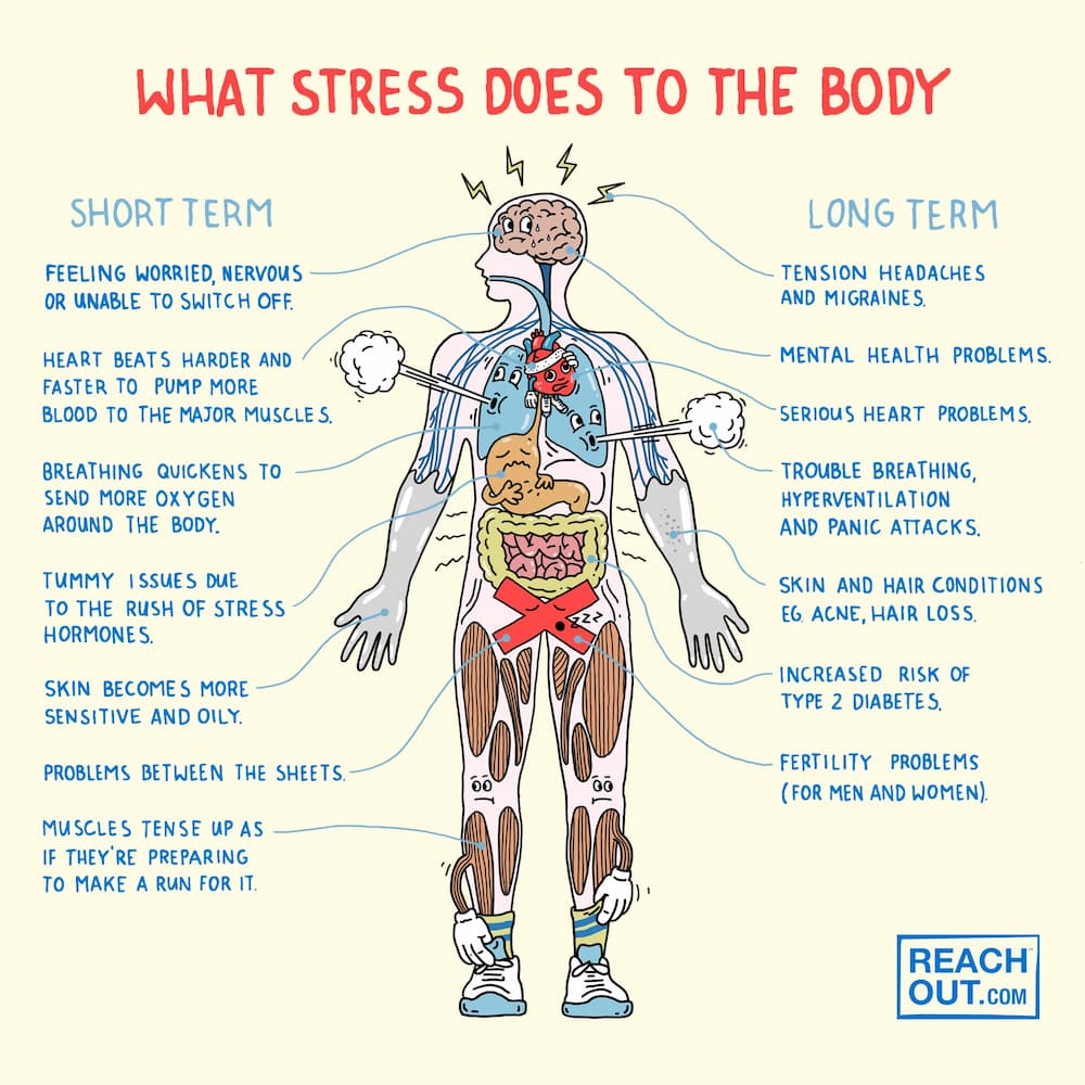 Effects of workplace stress to the body