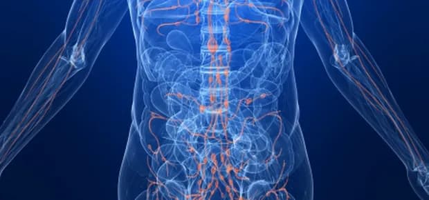 What is the lymphatic system?