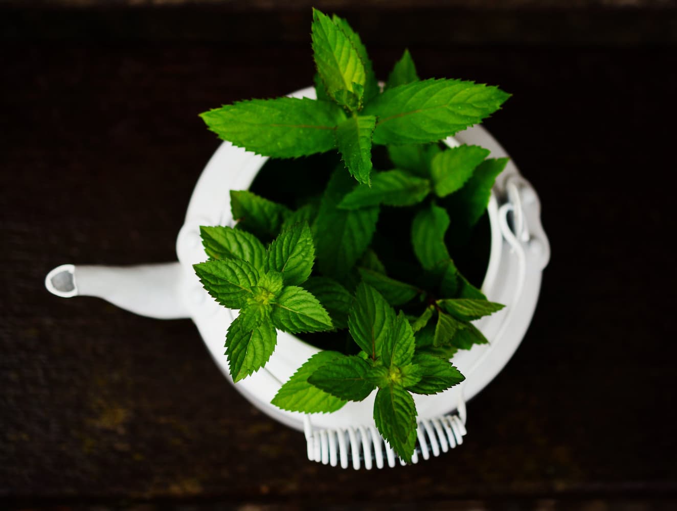 Health benefits of peppermint tea