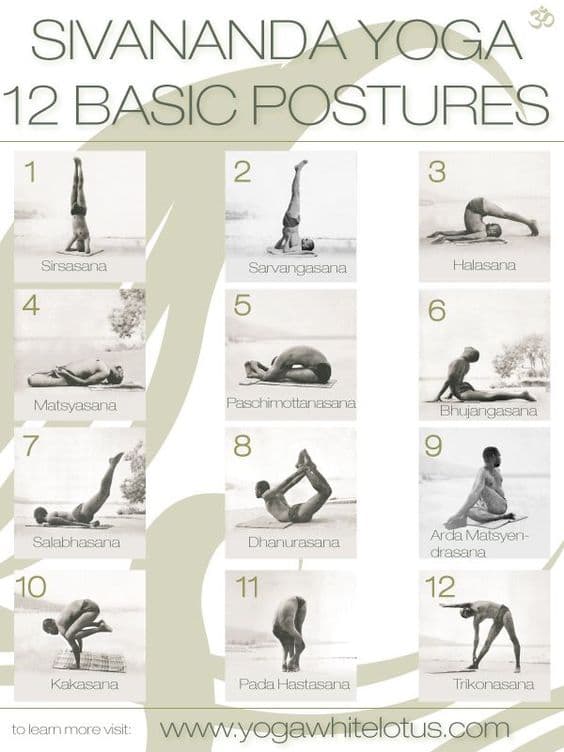 12 postures in Sivananda yoga