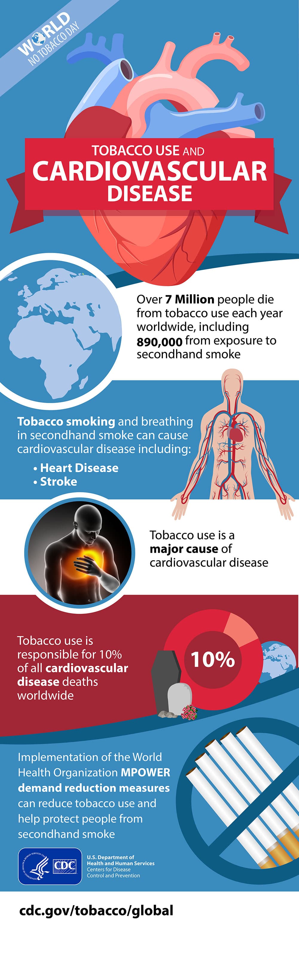 Cigarette smoking and its effects on your heart