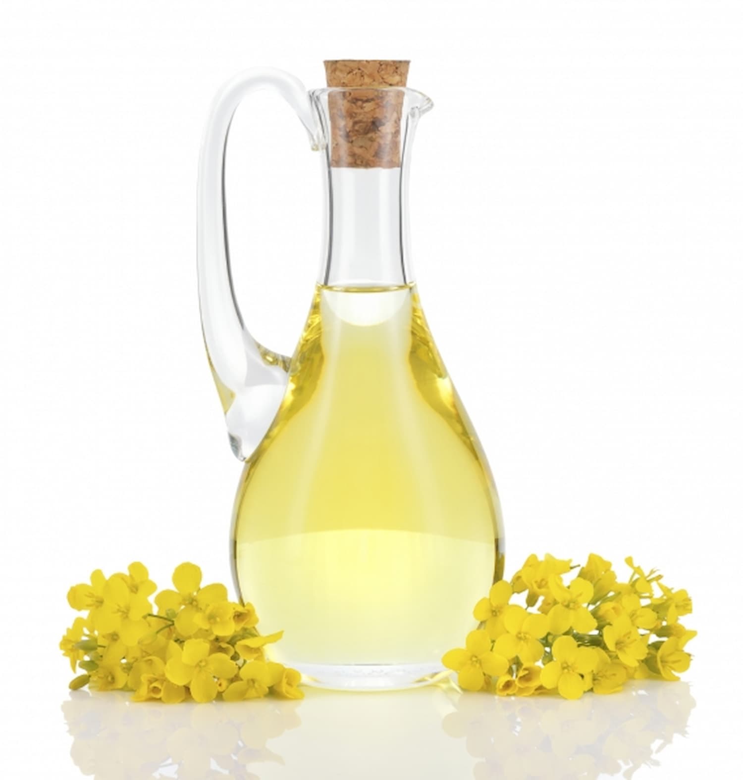 The Power of Oils and Fats: Pros & Cons