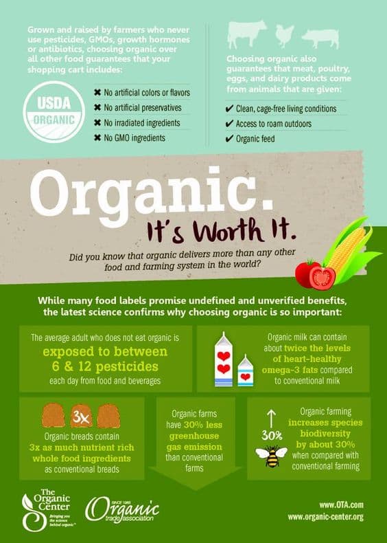 The reasons why organic products cost more than conventional products