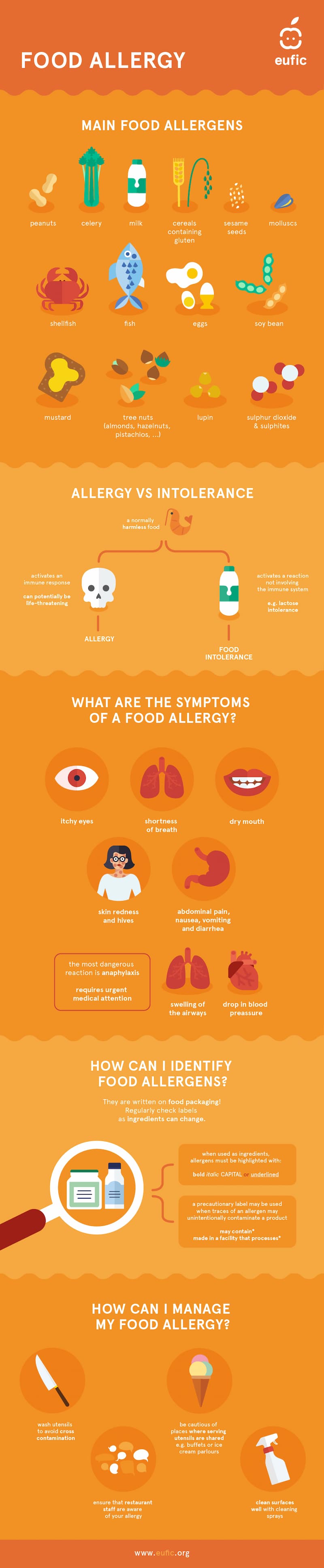 Common food allergies you need to know about