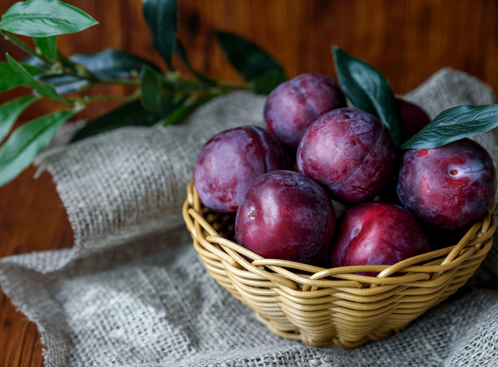 Plum Nutrition Facts and Benefits
