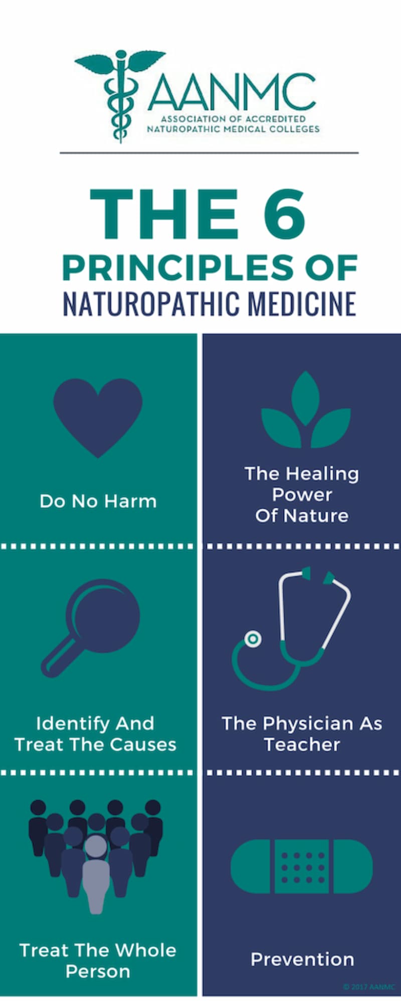 The healing principles of naturopaths