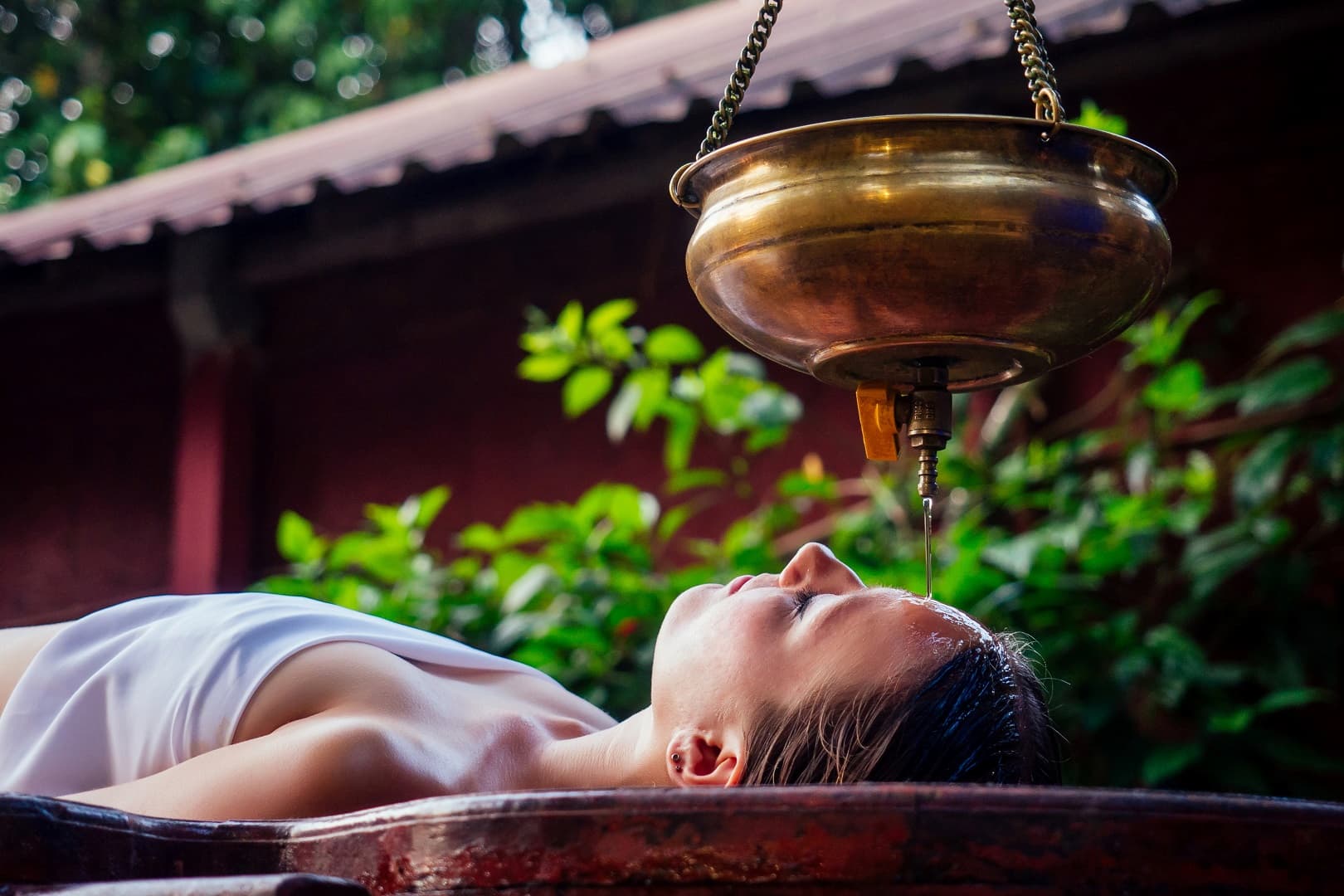 Ayurveda as complementary medicine