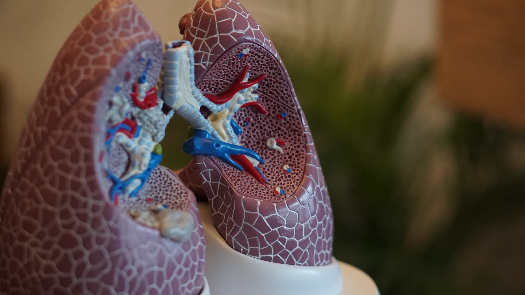 How COPD affects your lungs?