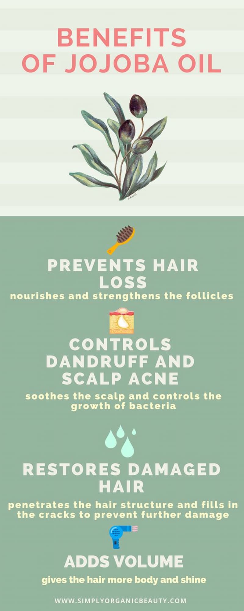 What are the benefits of jojoba oil for hair and skin?