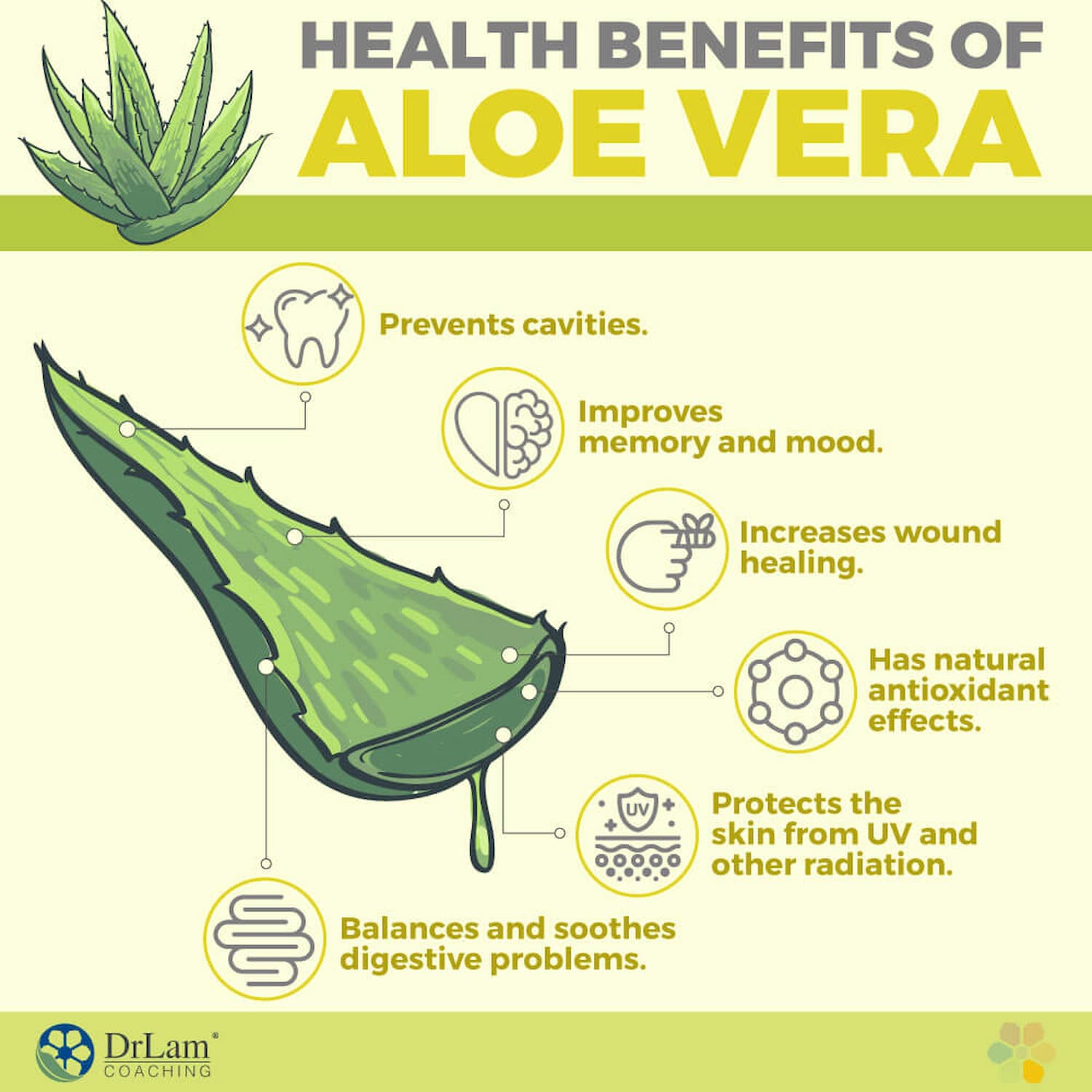 How using aloe vera can improve your health