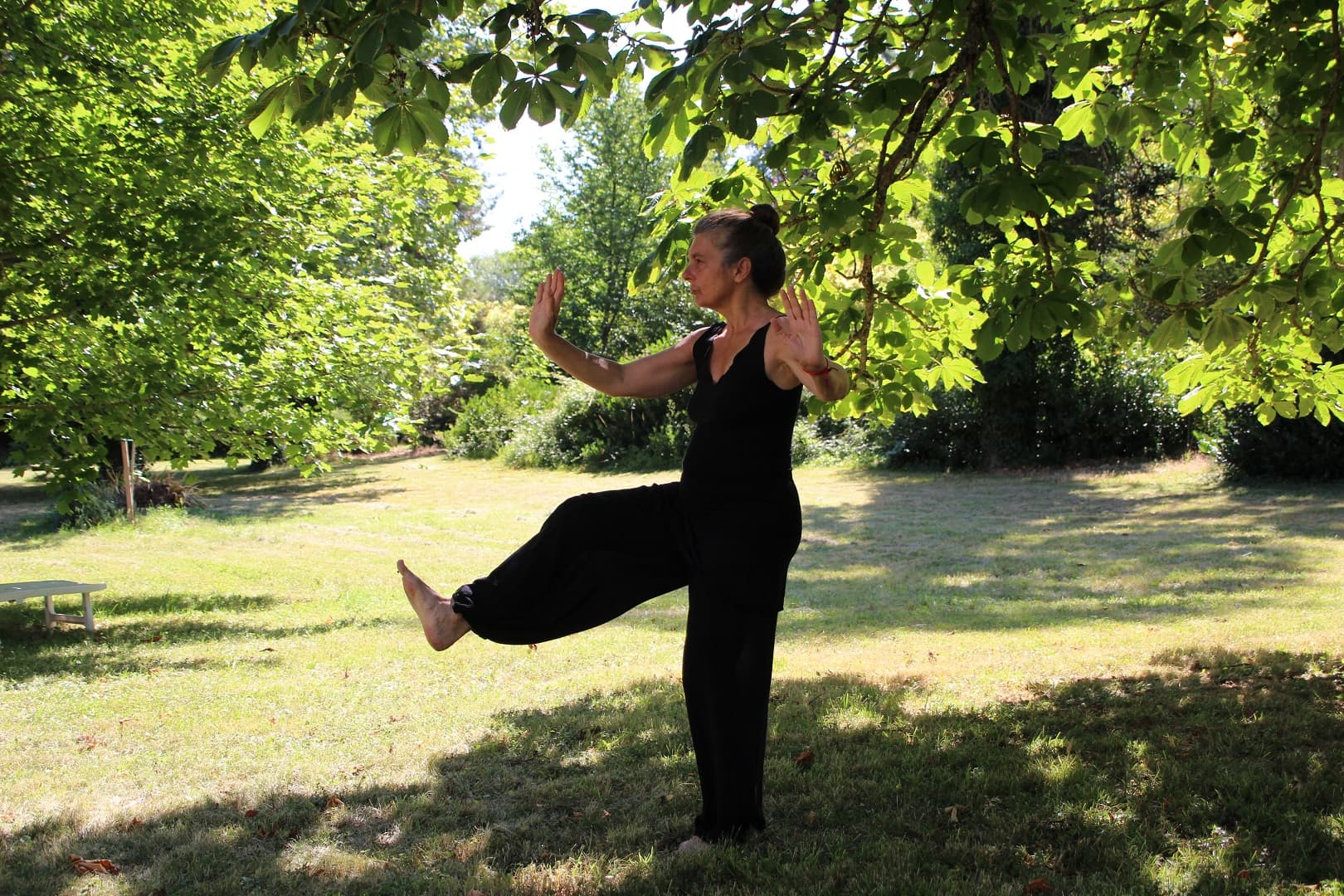 Tai Chi & Yoga as Rehabilitative Exercise - Therapeutic Movement Seminars